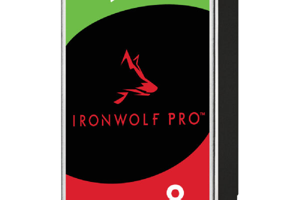 HDD Seagate IronWolf Pro NAS ST8000NT001 8TB/7200 (D)